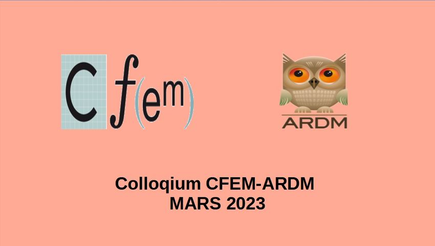 CFEM Commission française pour l\'ens. des math.