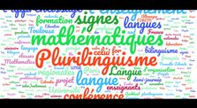 C. Mendonça Dias - Plurimaths - Discours scolaires & plurilinguisme en classe de mathématiques by Conférences