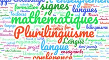 P. Escudé - Plurimaths - Tension et médiation linguistiques dans l'apprentissage des  mathématiques by Conférences